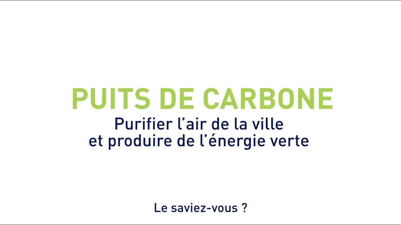 Le puits de carbone - SUEZ France